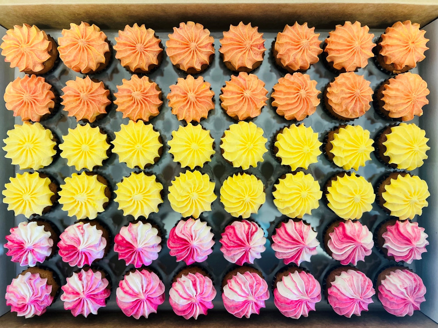 Mini Assorted Cupcakes 48 pack - Golden Orient Foods